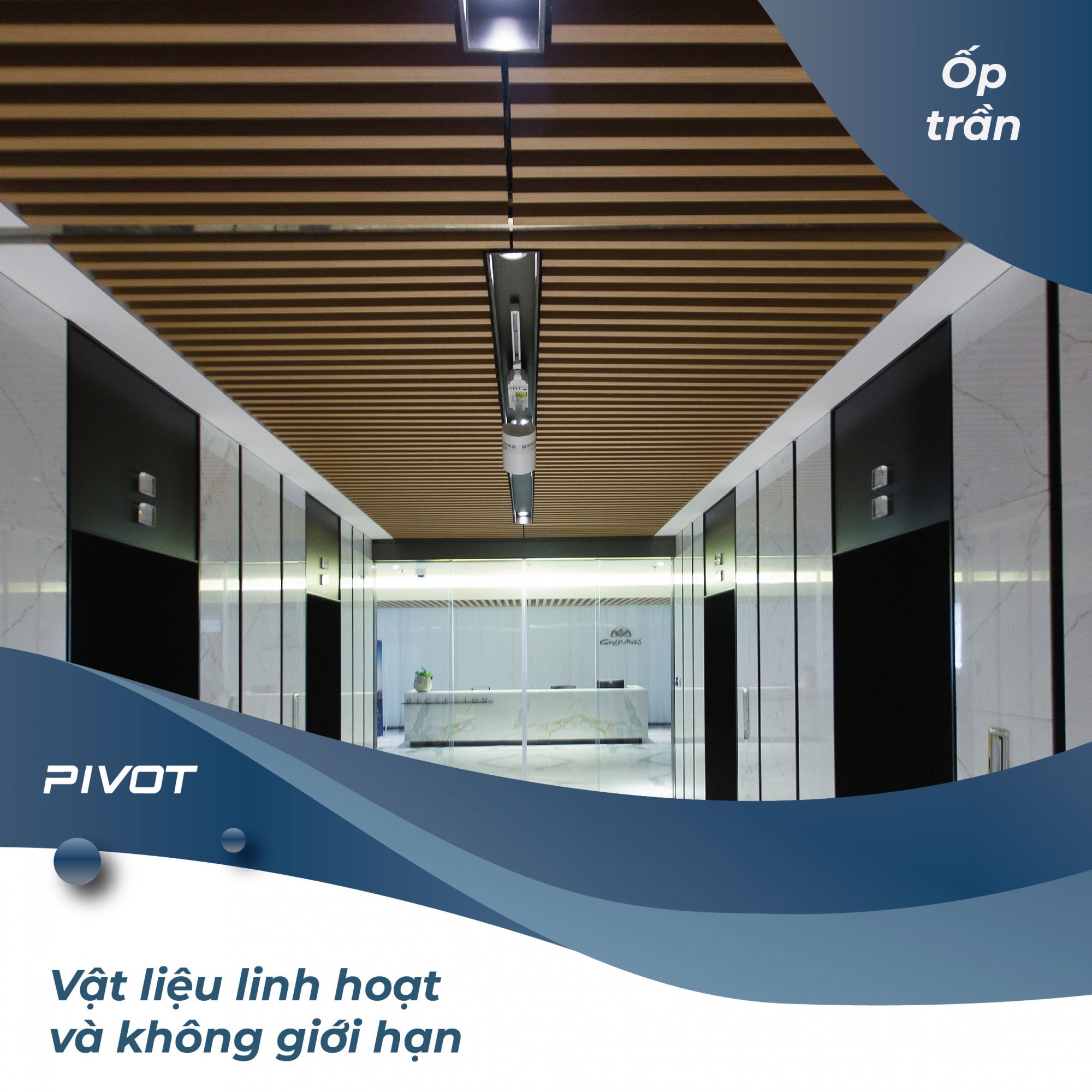 PIVOT-22.08.2022-04